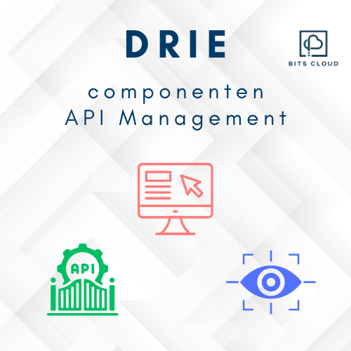 De drie belangrijkste componenten van API Management.
